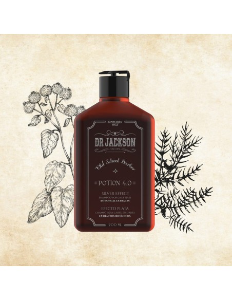 DR JACKSON POTION 4.0 CHAMPU CABELLOS GRISES 200 ml