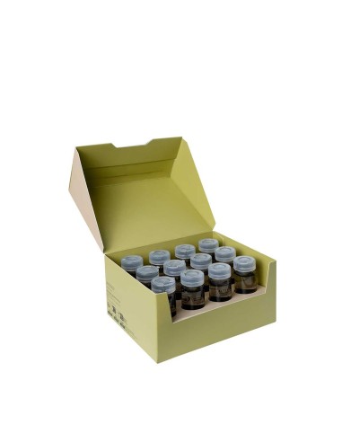 AMPOLLAS SCALPEGO ENERGIZING CAIDA INTENSIVE LOTION 12x10 ML